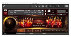 Best Service Chris Hein Ensemble Strings software