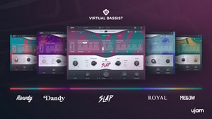 ujam Virtual Bassist Bundle 2 software