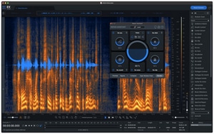 iZotope RX 10 Advanced EDU software