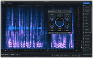 iZotope RX 10 Standard EDU software