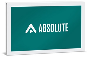 Steinberg Absolute software
